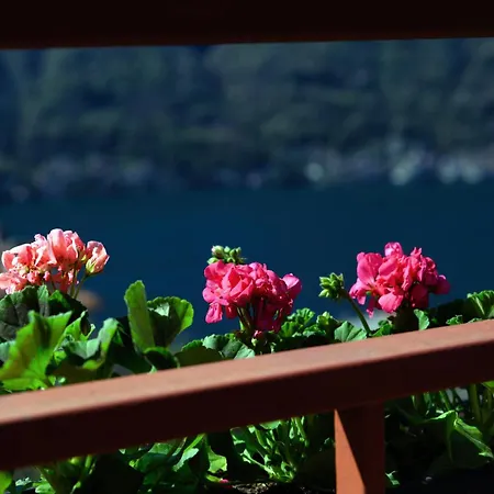 Le Vetrate Sul Amazing View Nesso